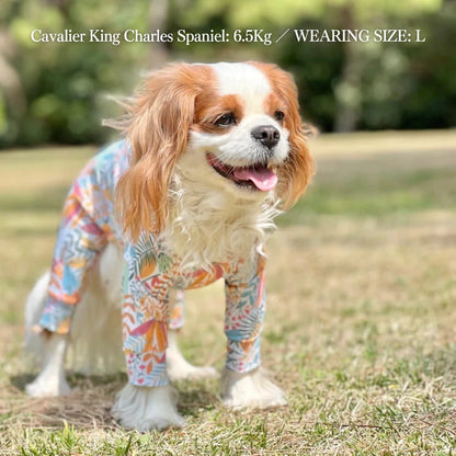 Multi Protect Suit – Joy Bloom
