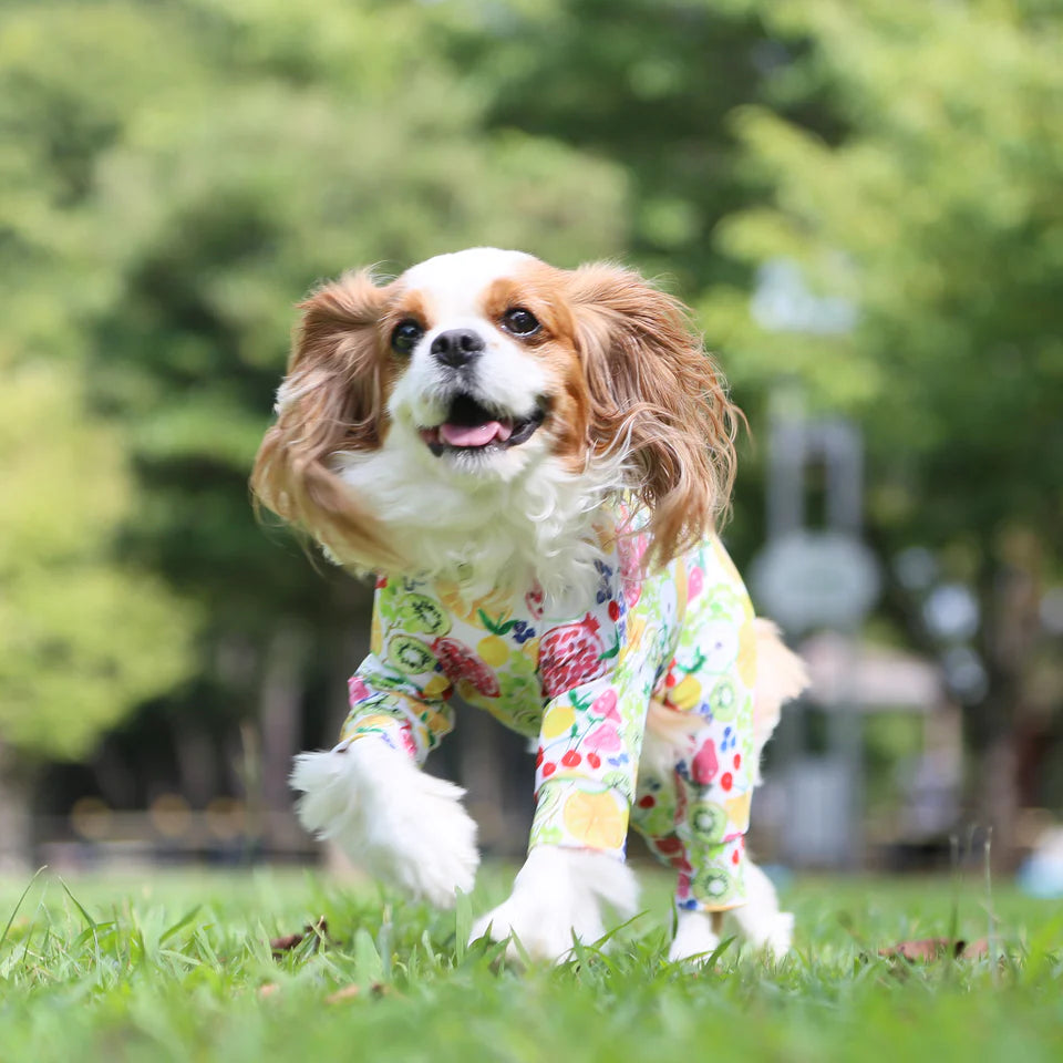 Multi Protect Suit –Fruit Fiesta