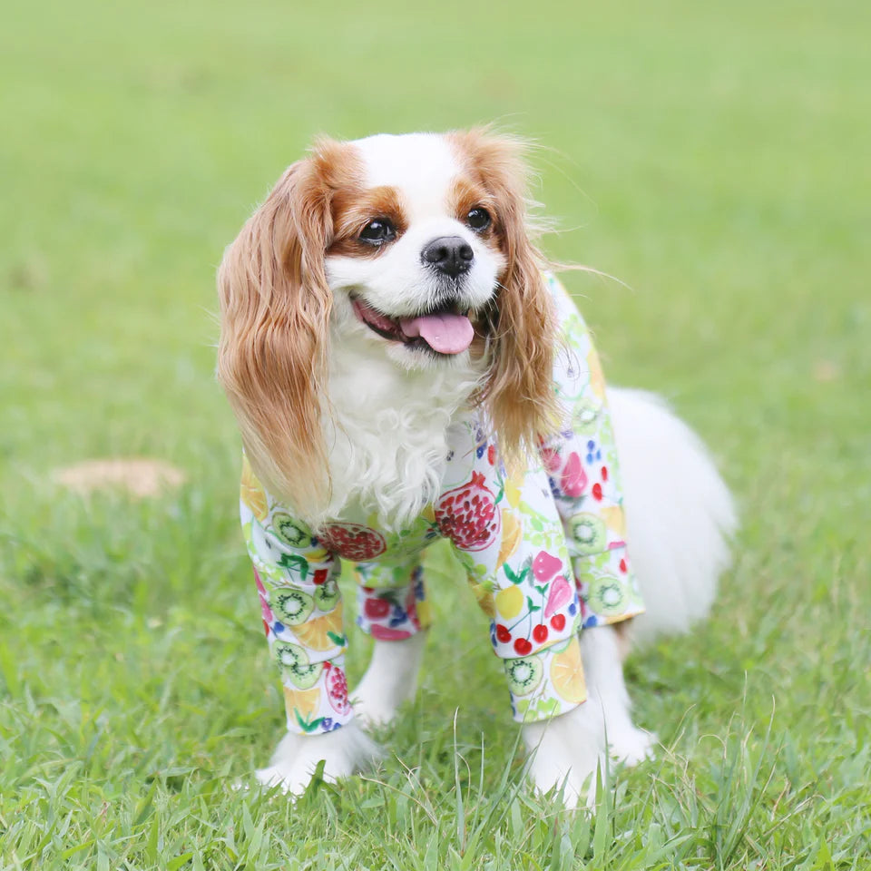 Multi Protect Suit –Fruit Fiesta