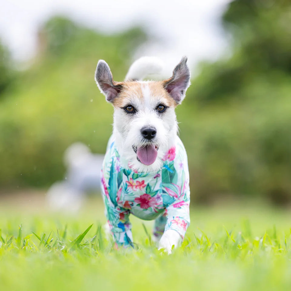Multi Protect Suit –Tropical Lush