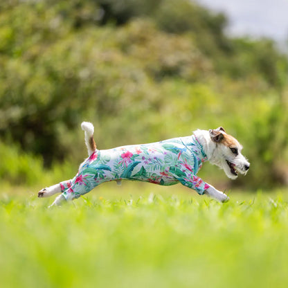 Multi Protect Suit –Tropical Lush