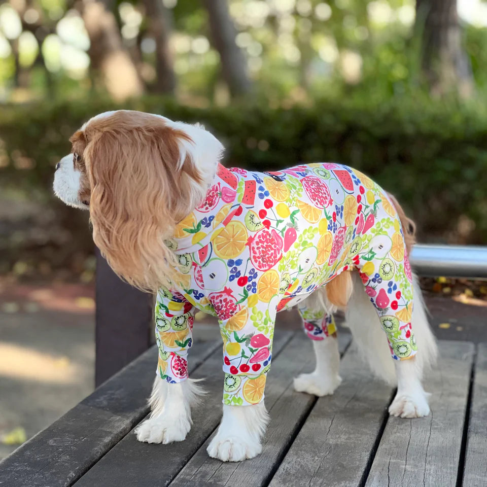 Multi Protect Suit –Fruit Fiesta