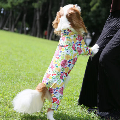 Multi Protect Suit –Fruit Fiesta