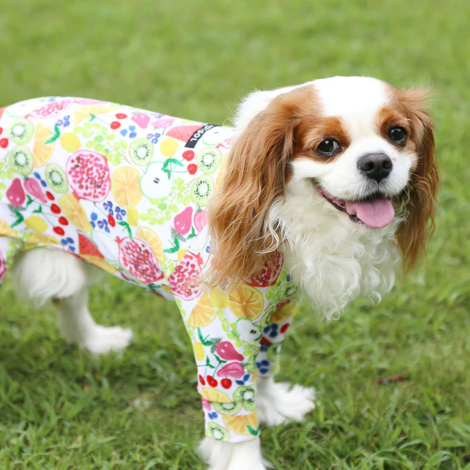 Multi Protect Suit –Fruit Fiesta