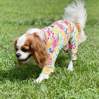 Multi Protect Suit –Fruit Fiesta