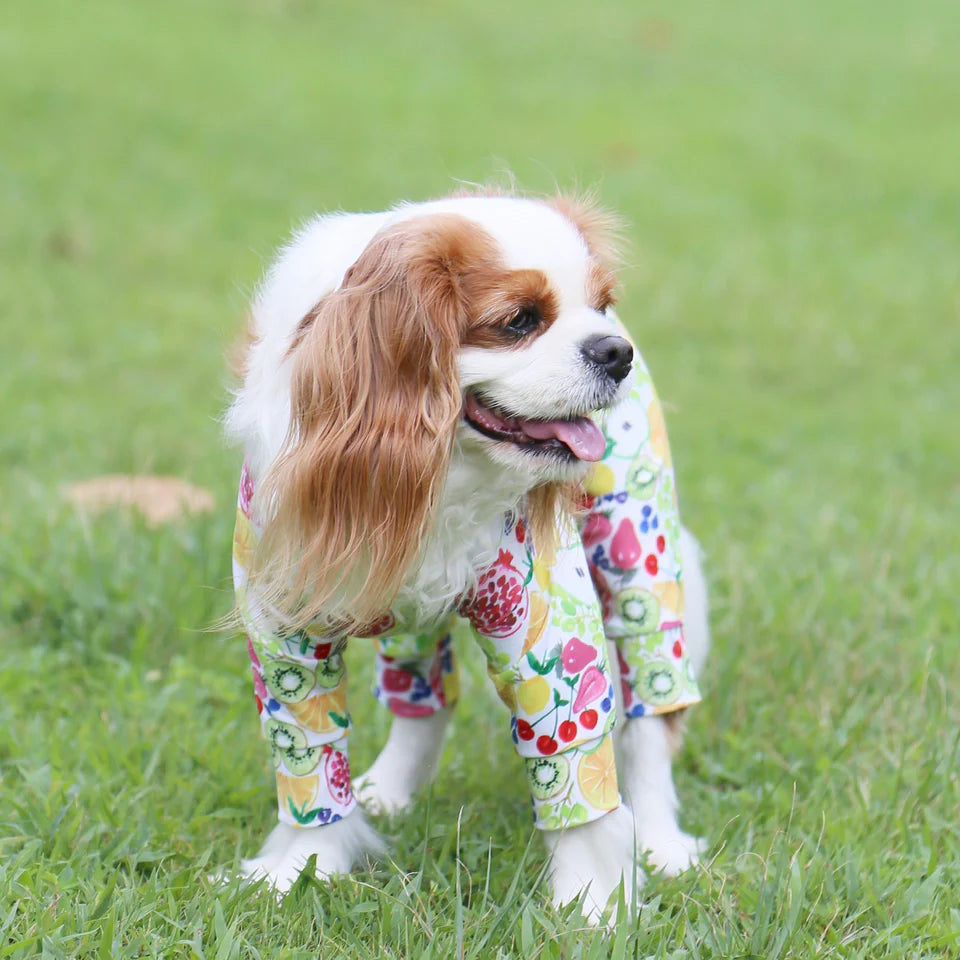 Multi Protect Suit –Fruit Fiesta