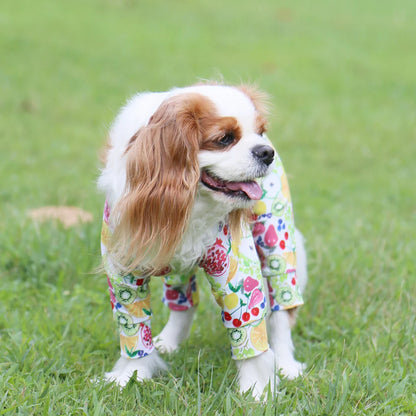 Multi Protect Suit –Fruit Fiesta
